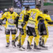 3. Liga Süd EC Liwodruck Hornets Spittal