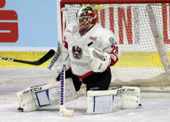 Österreich feiert Sieg gegen Slowakei