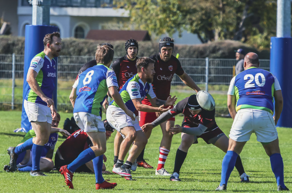 Rugby News – Anexia Tigers im Final4