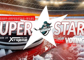 2023-2024-Lakers-Superstarwahl-Sport-Fan-Austria