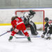 Playoff am 04.02.2023 in Ferlach (Eishalle), Austria, (Photo by Ernst Krawagner sport-fan.at),