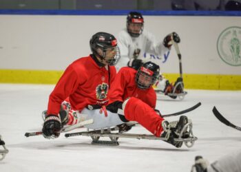 Österreichs Para-Eishockey-Team unterliegt Finnland Foto: Handler