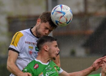 Baumgartner-Gerhard Pulsinger