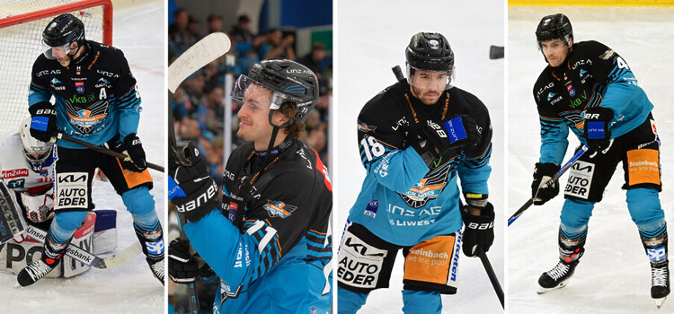 Blackwings Linz - Foto BWL