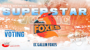 EC-GALLIN-FOXES-Superstarwahl