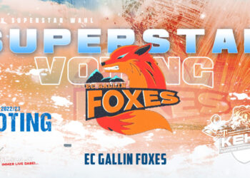 EC-GALLIN-FOXES-Superstarwahl