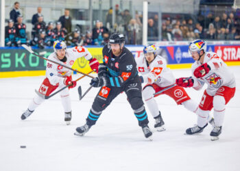 SALZBURG,AUSTRIA,17.OCT.23 - ICE HOCKEY - CHL, Champions Hockey League, EC Red Bull Salzburg vs Pelicans Lahti. Image shows Peter Hochkofler (EC RBS), Anton Myllari (Pelicans), Paul Stapelfeldt and Tyler Lewington (EC RBS). Photo: GEPA pictures/ Gintare Karpaviciute - For editorial use only. Image is free of charge.