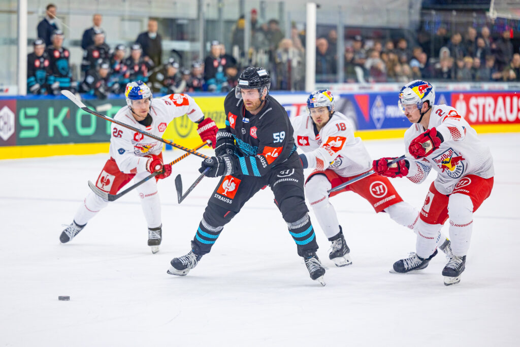 CHL: Niederlagen für Salzburg und Innsbruck 83 SALZBURG,AUSTRIA,17.OCT.23 - ICE HOCKEY - CHL, Champions Hockey League, EC Red Bull Salzburg vs Pelicans Lahti. Image shows Peter Hochkofler (EC RBS), Anton Myllari (Pelicans), Paul Stapelfeldt and Tyler Lewington (EC RBS). Photo: GEPA pictures/ Gintare Karpaviciute - For editorial use only. Image is free of charge.