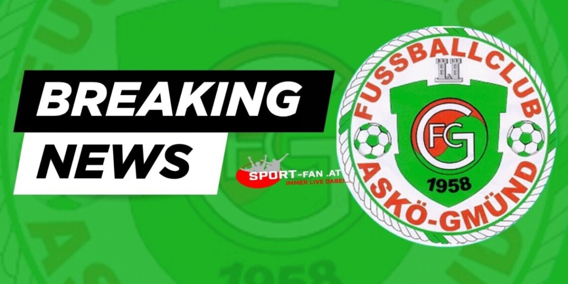 Gmünd will ganz nach oben – Schönherr peilt den Titel an! 1 FC ASKÖ Gmünd Breaking News - Sport Fan Austria