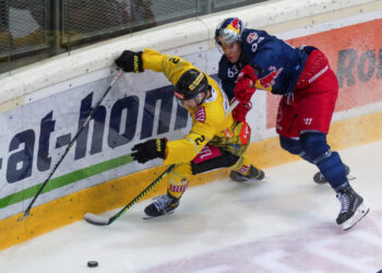 VIENNA,AUSTRIA,08.FEB.22 - ICE HOCKEY - ICE Hockey League, EC Vienna Capitals vs EC Red Bull Salzburg. Image shows Lukas Piff (Capitals) and Jakub Borzecki (EC RBS). Photo: GEPA pictures/ Philipp Brem - For editorial use only. Image is free of charge.