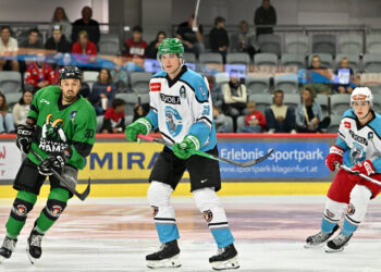 Gregor Biber Foto Bernd Stefan Sport Fan Austria