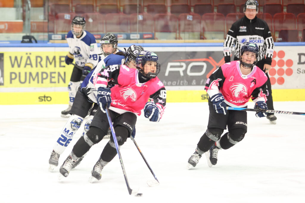 Hockey gegen Krebs Lady Hawks Sport Fan Austria 5