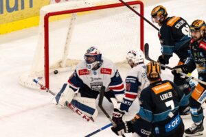 ICEHL-Linz gewinnt gegen Fehervar-Sport Fan Austria
