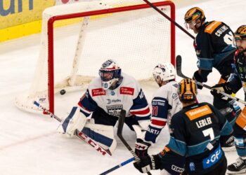 ICEHL-Linz gewinnt gegen Fehervar-Sport Fan Austria