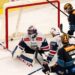 ICEHL-Linz gewinnt gegen Fehervar-Sport Fan Austria