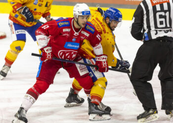 (c) 2023 - ICE HOCKEY-LEAGUE, EC KAC gegen Asiago. - Bild zeigt: Lukas Haudum (EC KAC) und William Rapuzzi (Asiago Hockey).