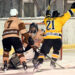 Kärntner Eishockey Ligen