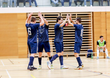 LPSV Kärnten gegen Bad Fischau Sport Fan Austria