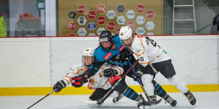 Ladykracher, Livestreams und Liga-Lehrjahre: Kärnten im EWHL-Feuer 1 Lakers Kärnten - Foto: Wolfgang Handler