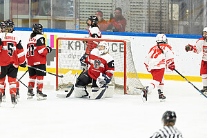 Österreich vs Polen Foto: Nicolas Zangerle