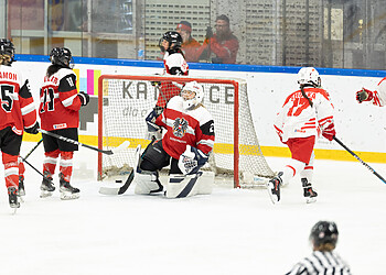 &Ouml;sterreich vs Polen Foto: Nicolas Zangerle