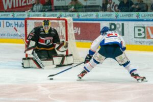 Pioneers Vorarlberg-Sport Fan Austria