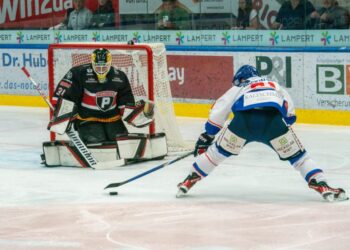 Pioneers Vorarlberg-Sport Fan Austria