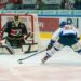 Pioneers Vorarlberg-Sport Fan Austria