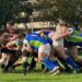 SG ANEXIA-Tigers-ARC Leoben-Rugby-Sport-Fan-Austria