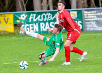 Transfers aus dem Lavanttal Foto: Sobe