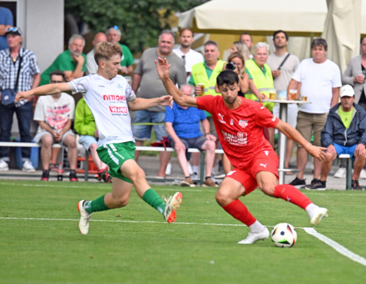 Kärntner Liga