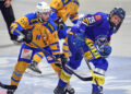 Althofen siegt im Mitteldrittel – VSV muss sich geschlagen geben 10 Eishockey, 2024- 11-02 ; Div 1, VSV U20 blau - Althofen gelb/blau im Bild: VSV Sintschnig Paul - Althofen Hammerle Simon PhotoCredit: Hermann Sobe