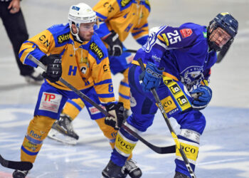 Eishockey, 2024- 11-02 ; Div 1, VSV U20 blau - Althofen gelb/blau im Bild: VSV Sintschnig Paul - Althofen Hammerle Simon PhotoCredit: Hermann Sobe
