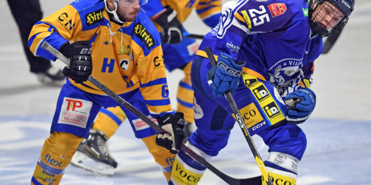 Althofen siegt im Mitteldrittel – VSV muss sich geschlagen geben 1 Eishockey, 2024- 11-02 ; Div 1, VSV U20 blau - Althofen gelb/blau im Bild: VSV Sintschnig Paul - Althofen Hammerle Simon PhotoCredit: Hermann Sobe