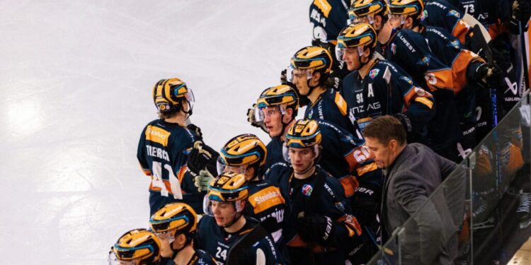 Trainerduo Matej Hocevar und Harald Pschernig weiter bei Steel Wings Linz 1 Steel Wings Linz Foto: BWL / Wolkerstorfer