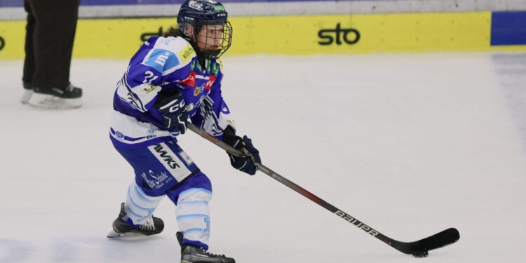 Lady Hawks Live: Hält ihr Höhenflug gegen Salzburg? 1 Liga Miljone - Foto: Rene Krammer