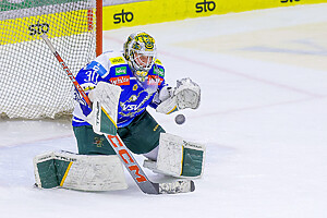 VSV Lady Hawks Foto: Rene Krammer