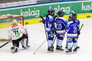 VSV Lady Hawks vs Graz99ers Huskies Foto: Rene Krammer