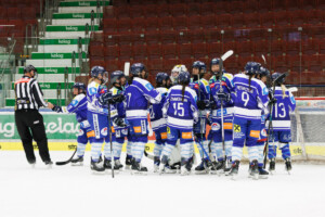 VSV Lady Hawks vs Graz99ers Huskies Foto: Rene Krammer