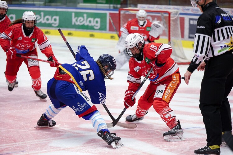 VSV Lady Hawks vs KAC Women Foto Rene Krammer