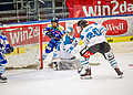 Graz-Hammer! Final-4 der AWHL steht – und die Steiermark macht sich bereit 7 VSV Lady Hawks vs Lakers Kärnten Foto: Wolfgang Handler