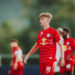 Austria verliert Test gegen Liefering
