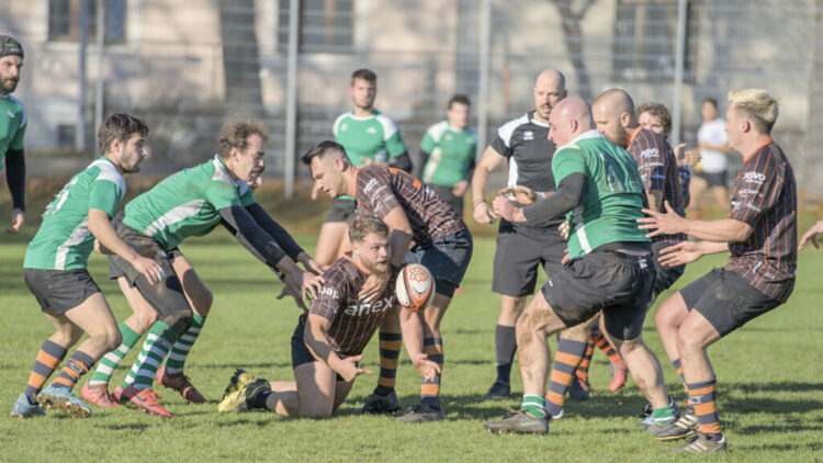 anexia Tigers Klagenfurt besiegt Zagreb Foto: Fabio Stix