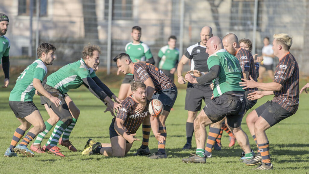 anexia Tigers Klagenfurt besiegt Zagreb Foto: Fabio Stix