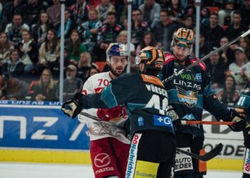 Kämpferische Black Wings ringen Meister Punkt ab