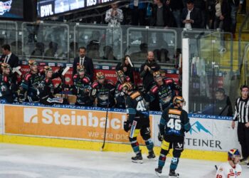 Black Wings feiern souveränen Auswärtssieg in Wien