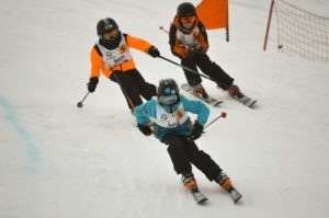 Skicross