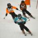 Skicross