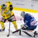 spusu Vienna Capitals-Manfred Szieber